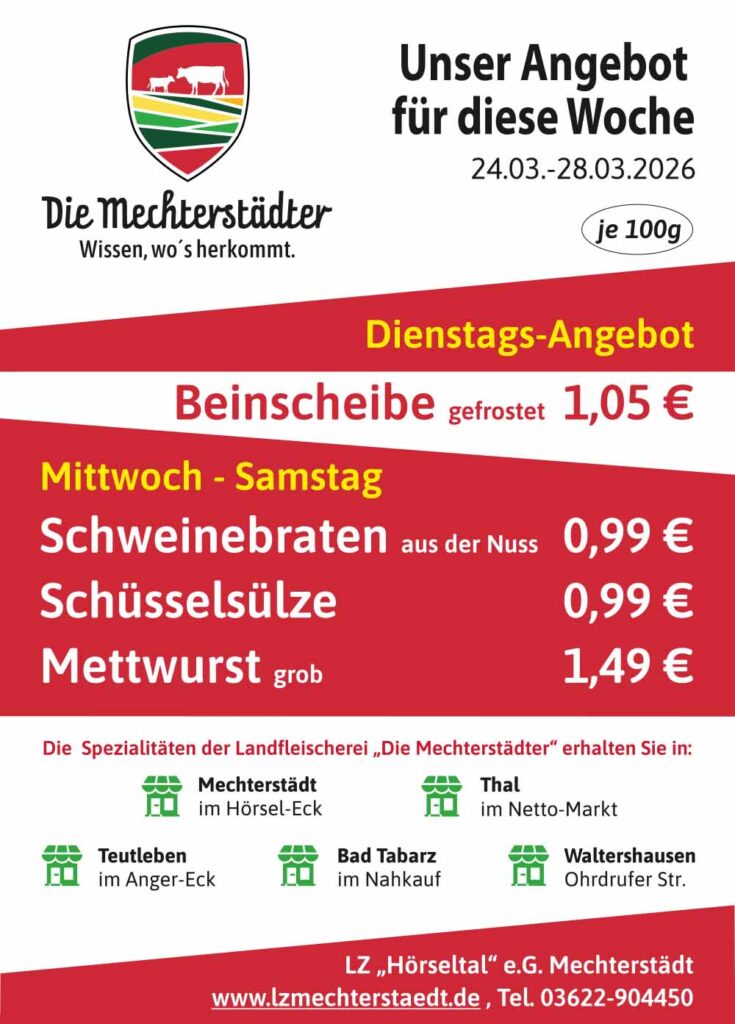 Angebotsflyer KW 12/26